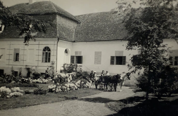 Castle courtyard and horse-drawn carriage