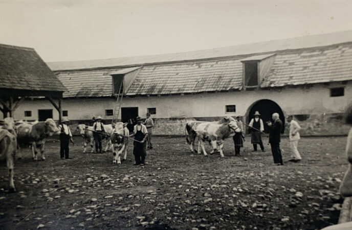 Lucrări agricole la castelul Ugron