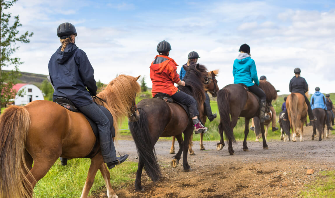 Horseback riding tour